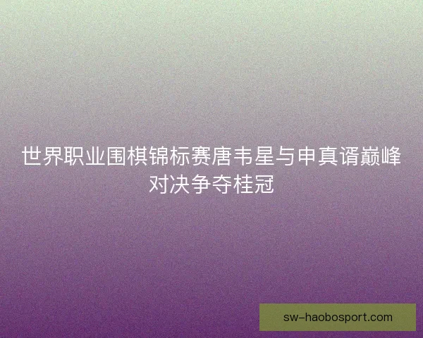 世界职业围棋锦标赛唐韦星与申真谞巅峰对决争夺桂冠